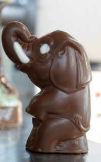 saving for the future-chocolate elephant